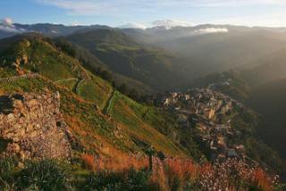 stello di Tripi-06-02-2016 18-11-57